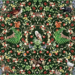 Celebration Of The Natural World Silk Scarf
