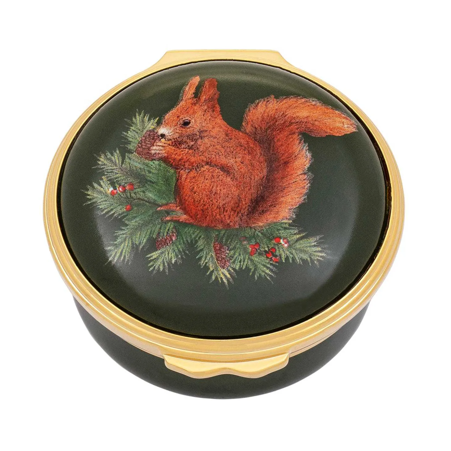Woodland Wildlife Red Squirrel Enamel Box